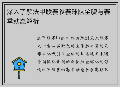 深入了解法甲联赛参赛球队全貌与赛季动态解析