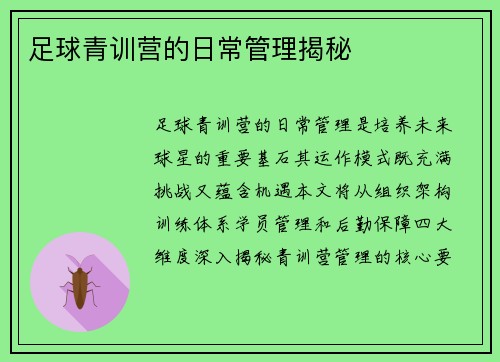 足球青训营的日常管理揭秘