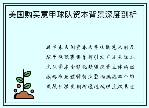 美国购买意甲球队资本背景深度剖析