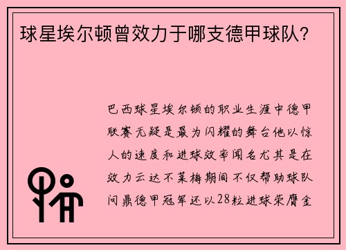 球星埃尔顿曾效力于哪支德甲球队？