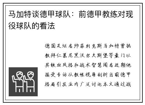 马加特谈德甲球队：前德甲教练对现役球队的看法